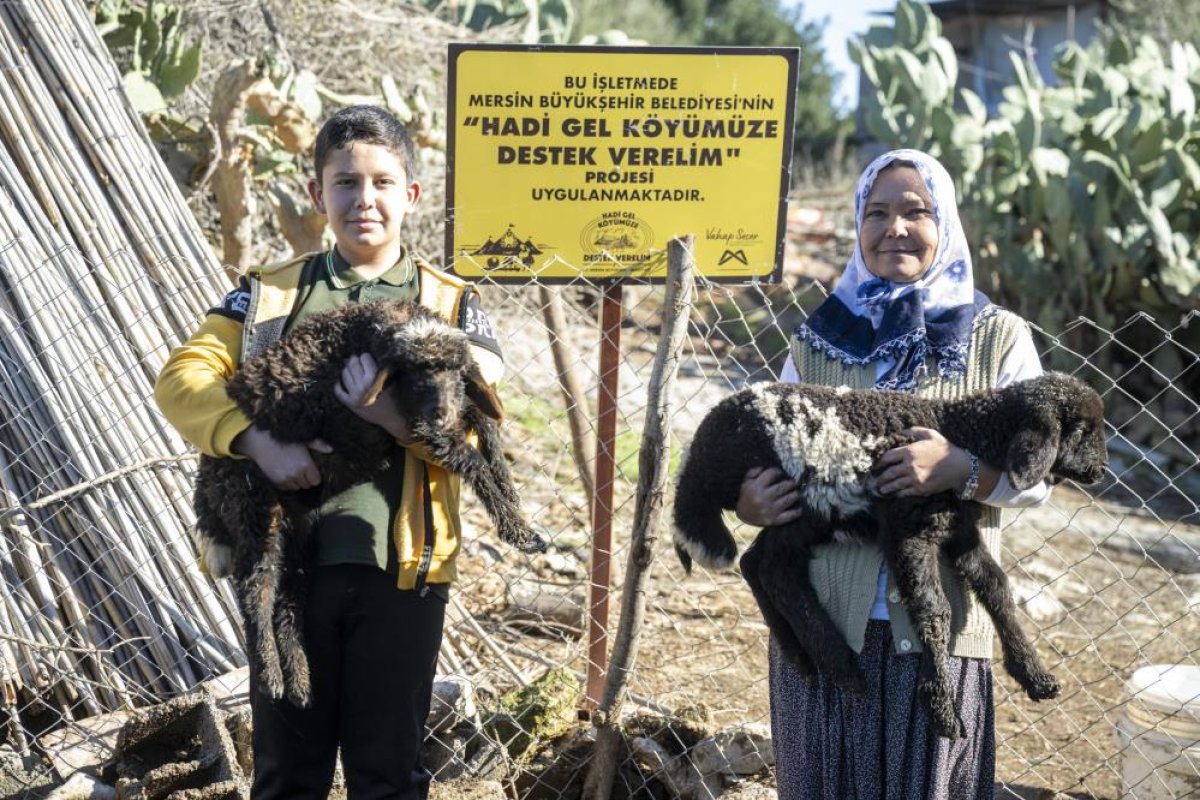 Mersin’de Küçükbaş Hayvan Desteği