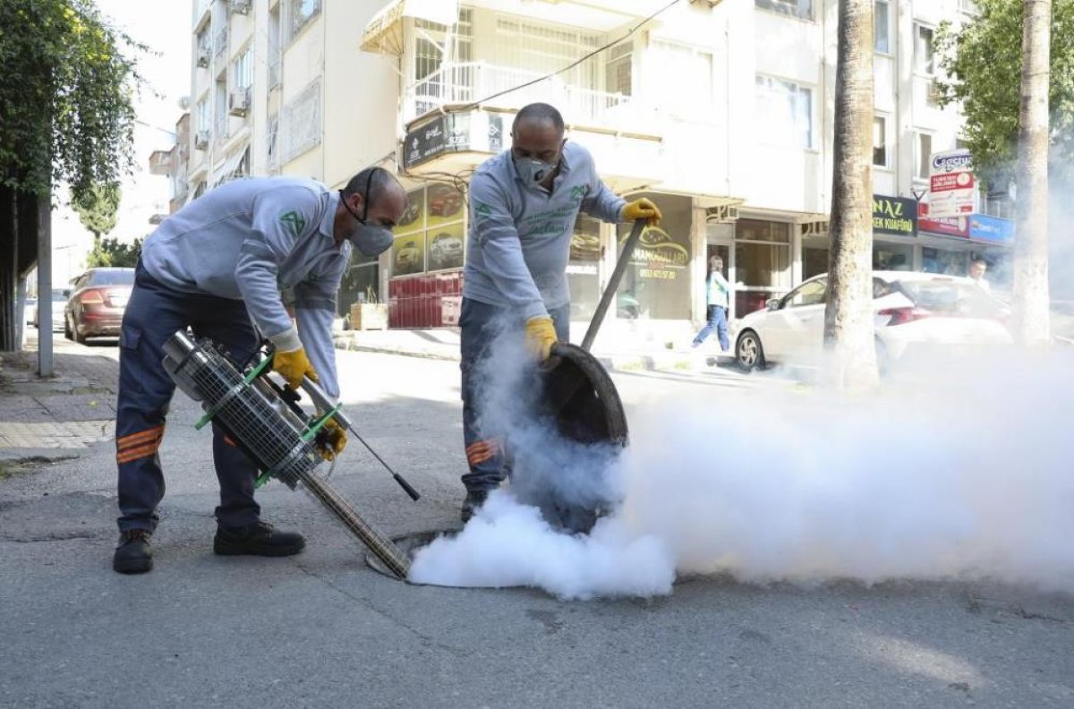 Mersin Büyükşehir Haşereyle Mücadele Etmeye Devam Ediyor