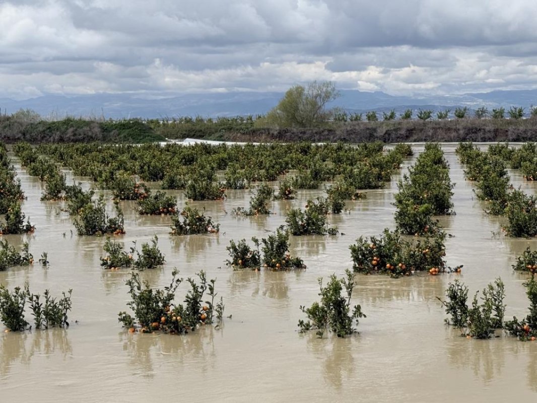 Tarsus’ta Sağanak Tarım Arazilerini Vurdu