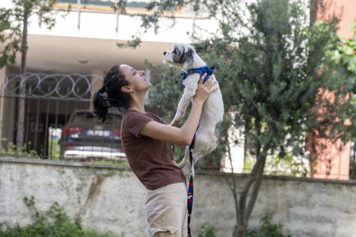Mersin’de Sahiplendirme Kampanyasıyla Bin 927 Köpek Yeni Yuvasına Kavuştu