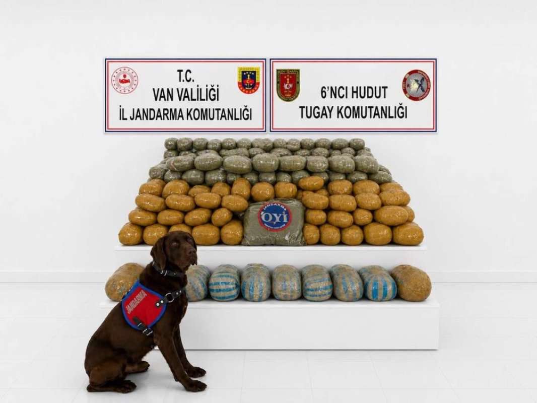 Van'da 291 Kilogram Toz Esrar Ele Geçirildi