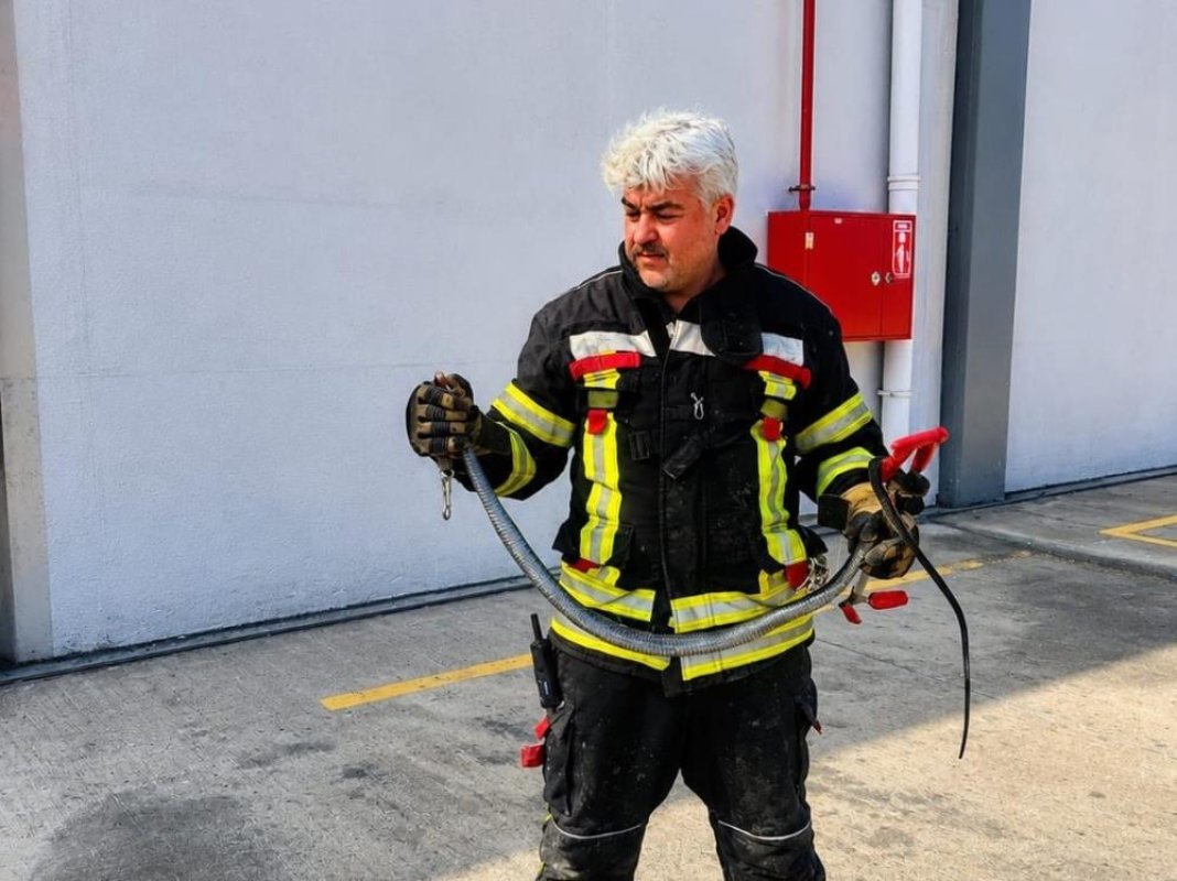 Sıcaklar geldi yılanlar ortaya çıktı: Mersin'de son 1,5 ayda 184 yılan vakası
