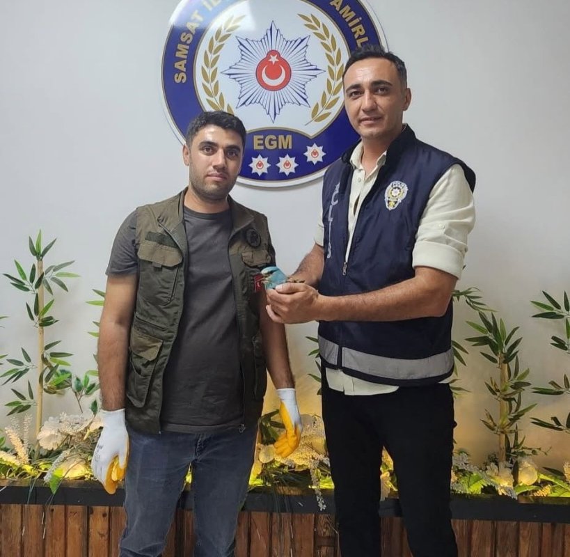 Polis Ekiplerinin Bulduğu Yaralı Gökkuzgun Koruma Altına Alındı