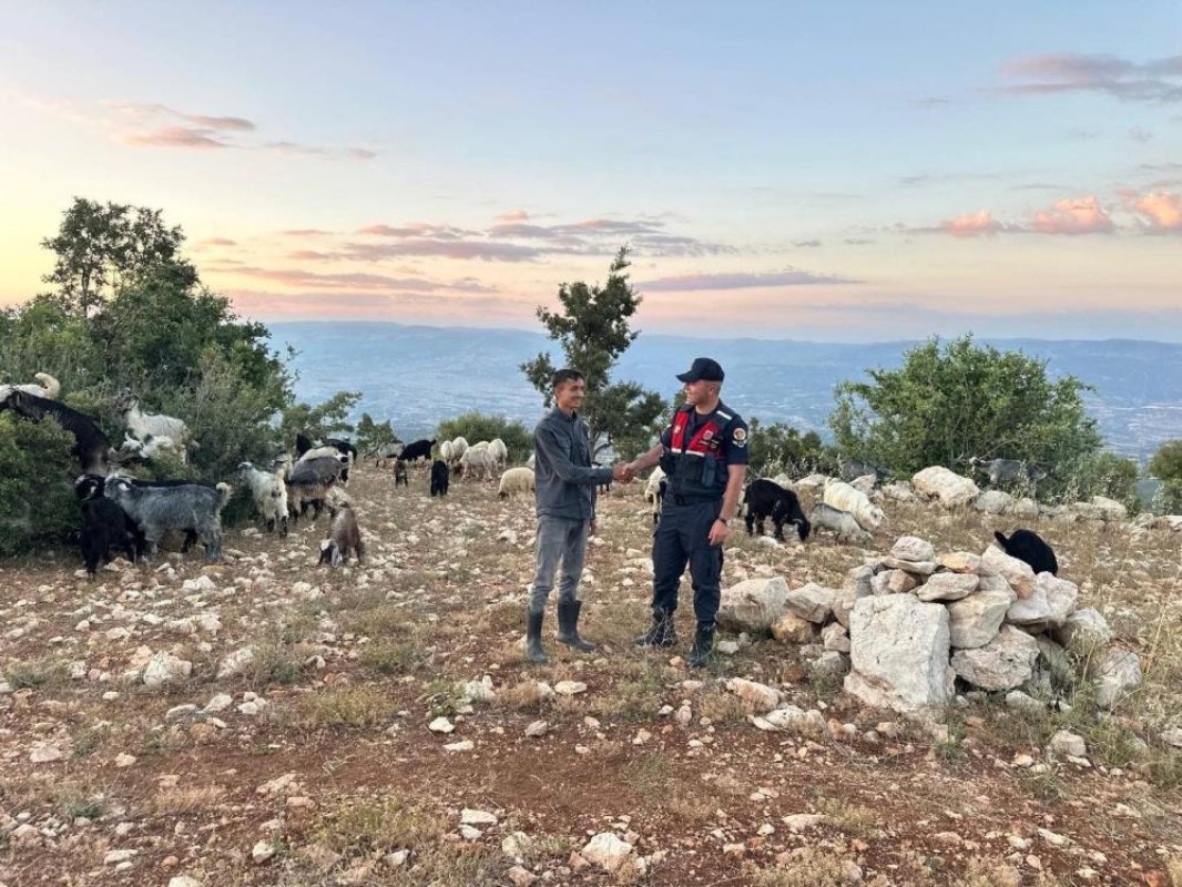 Mersin'de Kayıp 40 Küçükbaş Dronla Bulundu