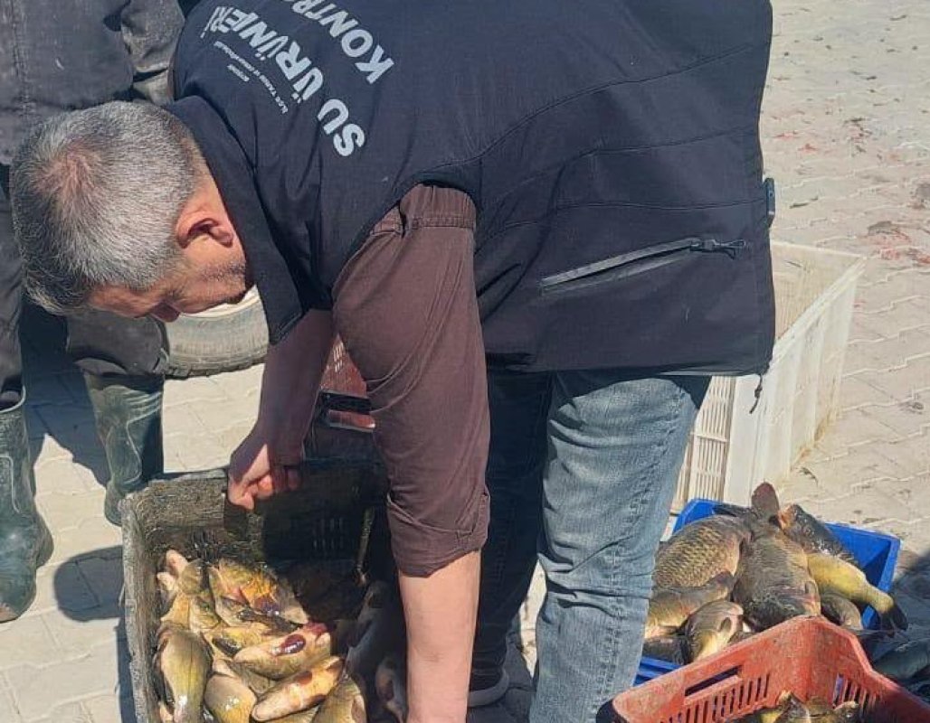 Beyşehir'de avcılara yakın takip