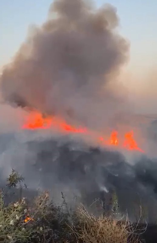 Oğuzeli’nde buğday tarlasında yangın