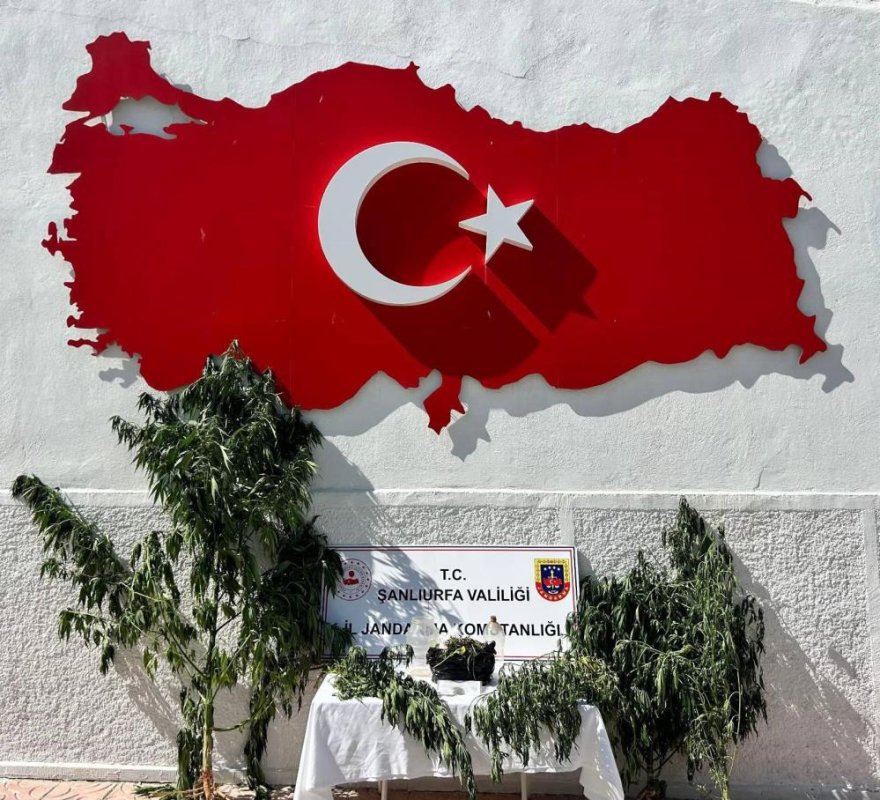 Hilvan'da Uyuşturucu Operasyonu: 1 Gözaltı