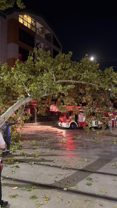 Tramvay hattına düşen dal seferleri aksattı