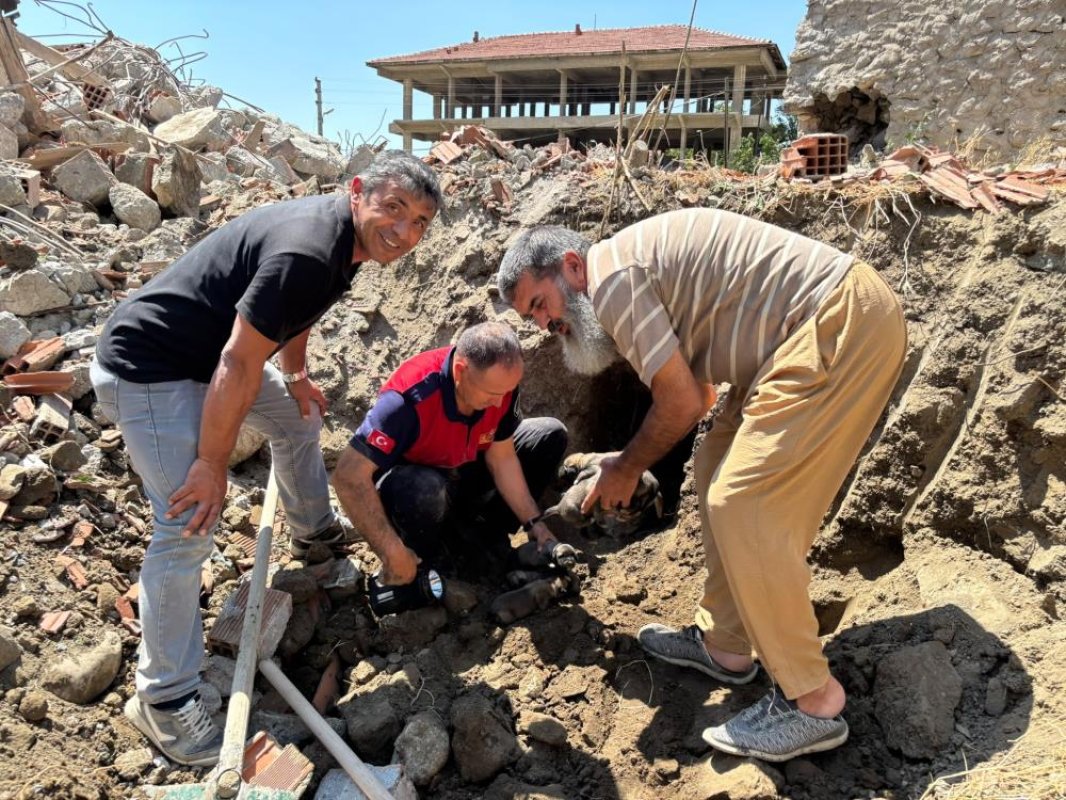 Yıkım halindeki binada mahsur kalan 8 yavru köpeği itfaiye kurtardı