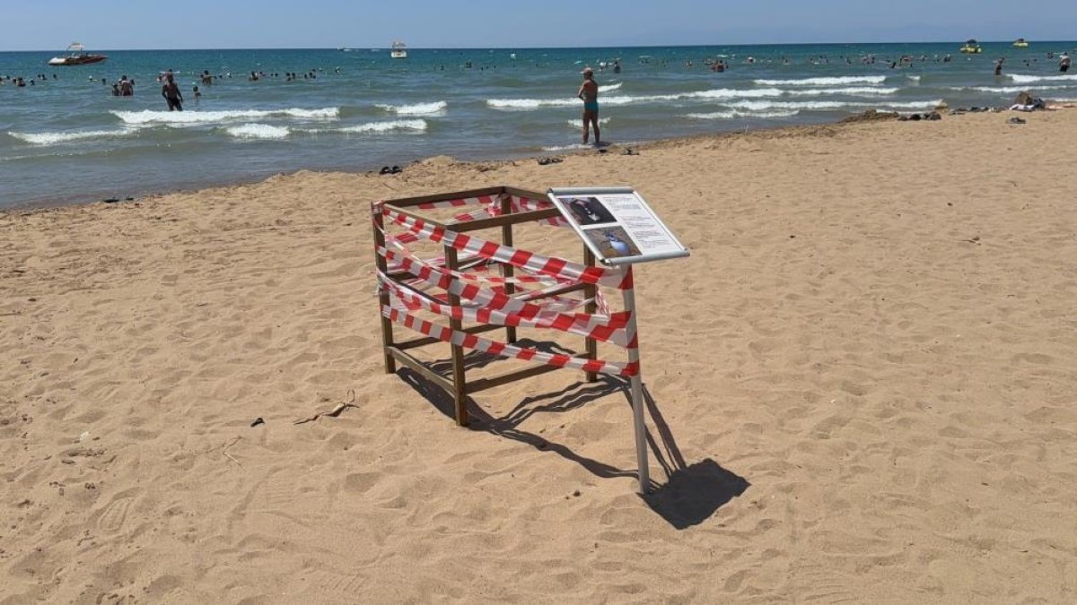 Antalya'da 'caretta caretta' yuvası bilmecesi