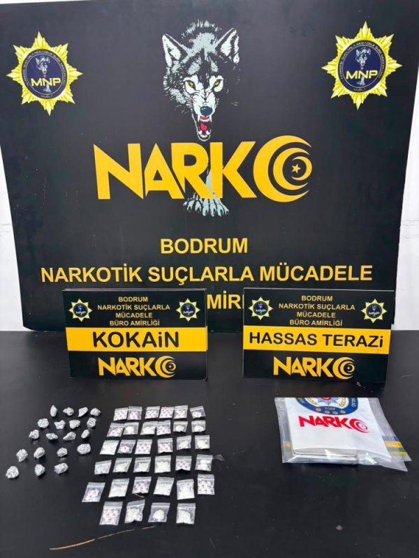 Bodrum'da uyuşturucu operasyonu: 2 gözaltı