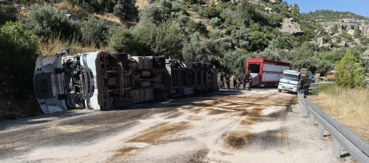 Mersin'de büyükbaş hayvan yüklü tır devrildi: Çok sayıda hayvan telef oldu