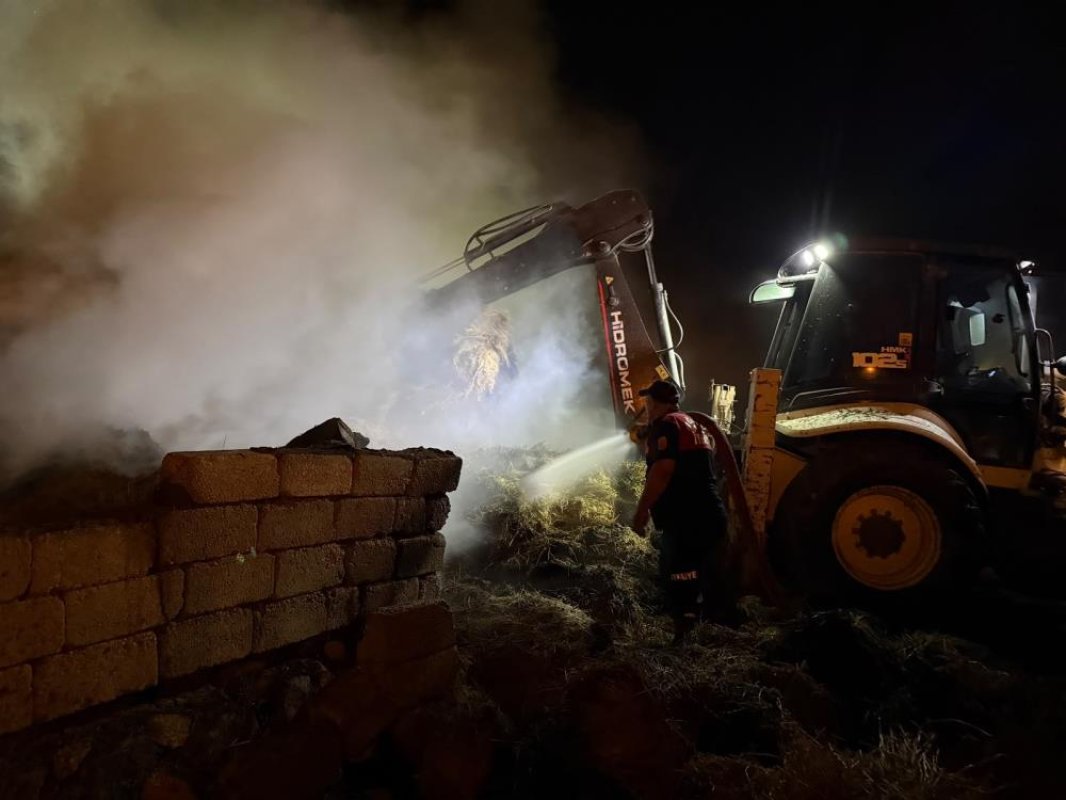 Iğdır'da 2 bin balya alevlere teslim oldu