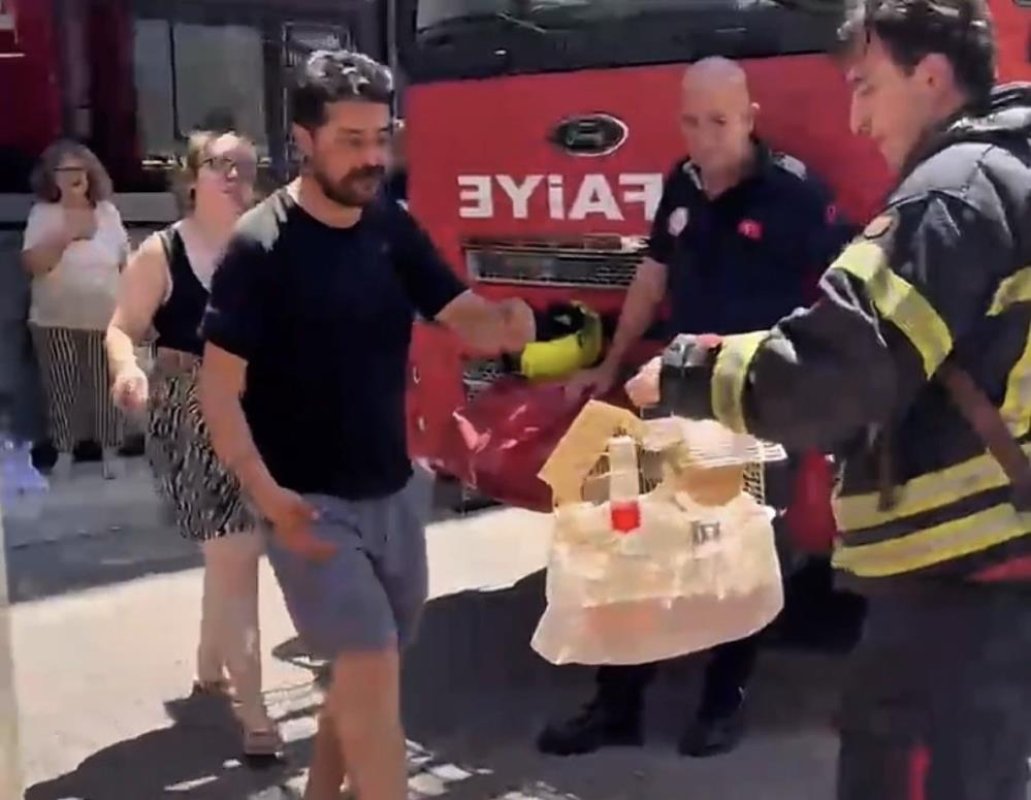Mersin'de yangında mahsur kalan cennet papağanını itfaiye kurtardı