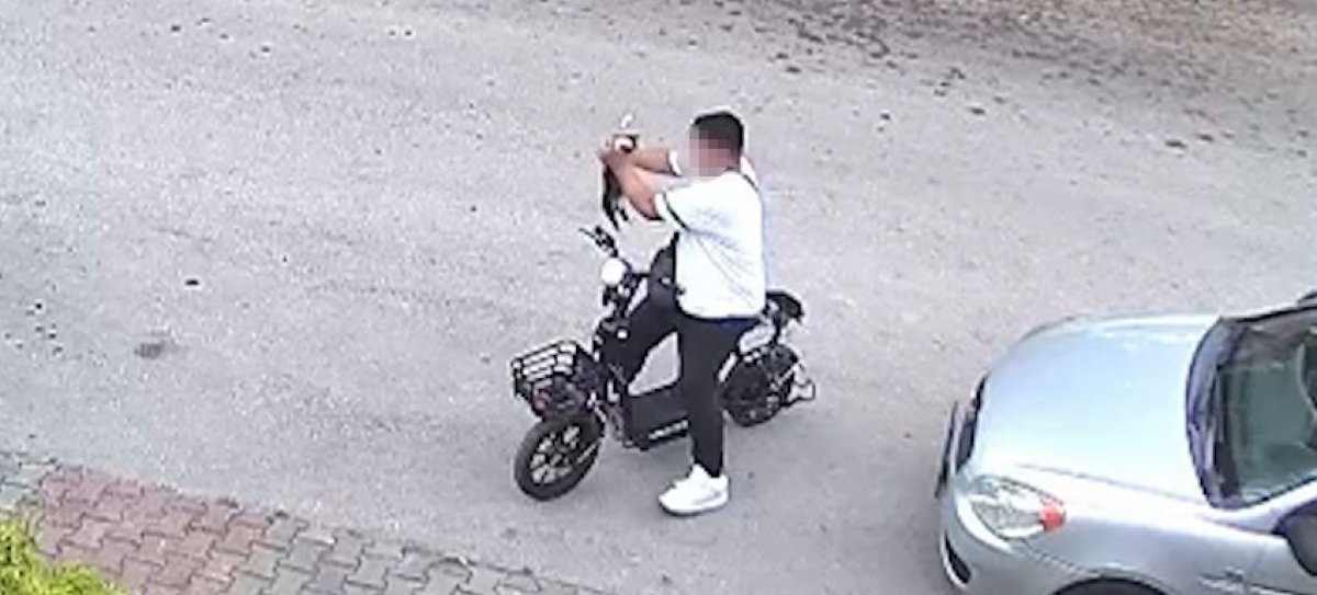  Bolu'da yavru kediyi önce öpüp sonra boğan otizmli çocuk serbest bırakıldı