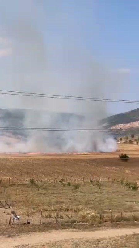 Bursa'da tarlalık alanı ateşe veren şüpheli yakalandı