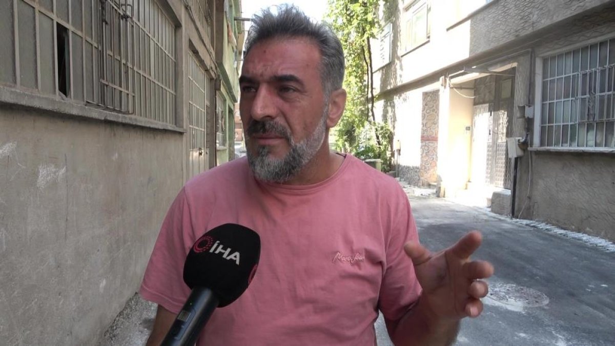 Bursa'da hayvanlara şiddet iddiası: Apartmandan dehşet çıktı, mahalleyi pireler bastı