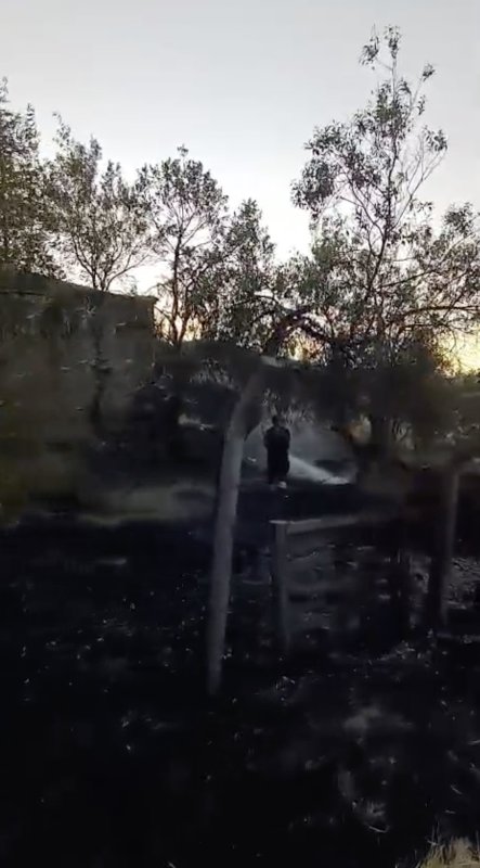 Bahçeli evde korkutan yangın
