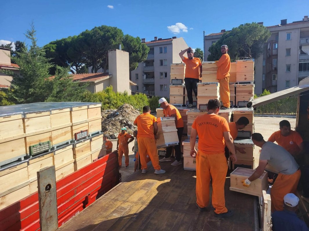 Yangından etkilenen arıcılara 2 bin kovan dağıtıldı