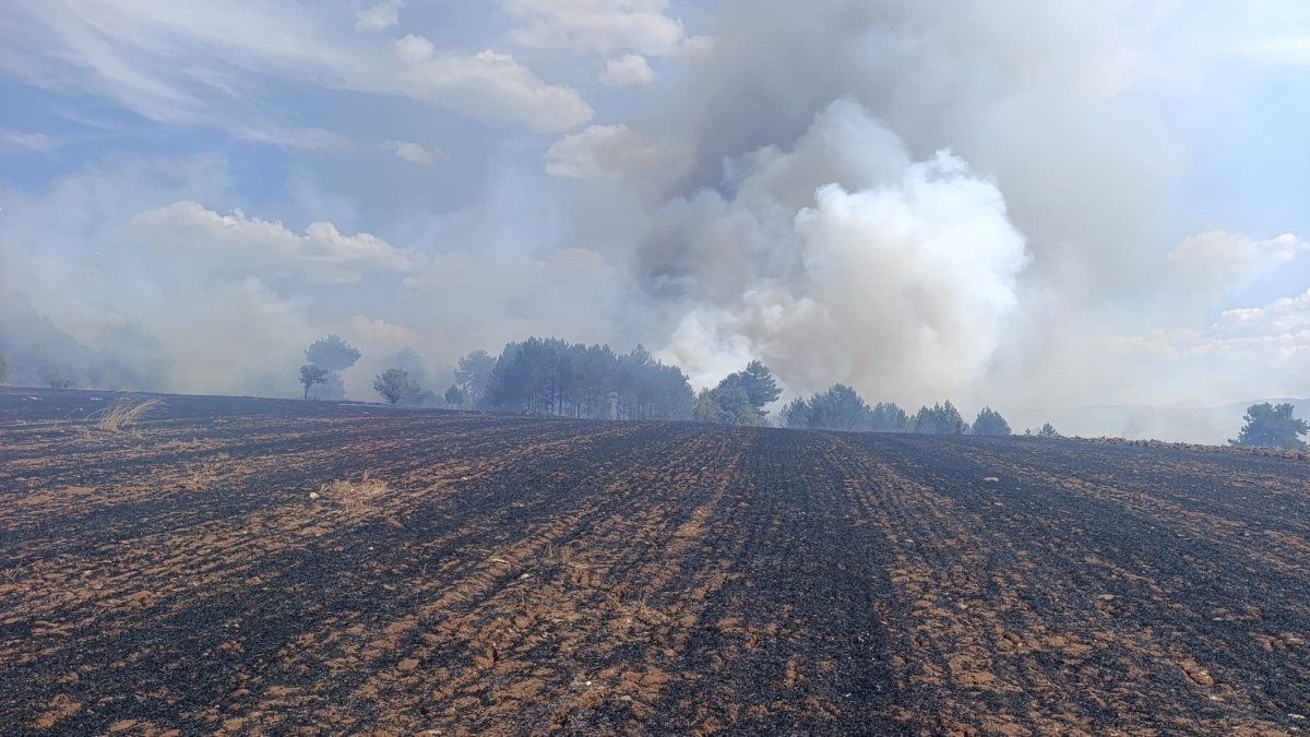 Emet'te ormanlık alana sıçrayan yangın kontrol altına alındı