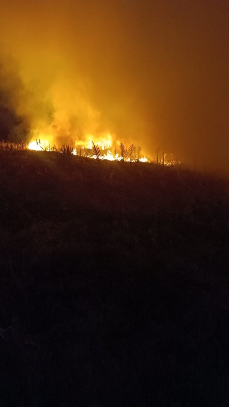 Şuhut'ta arazi yangını