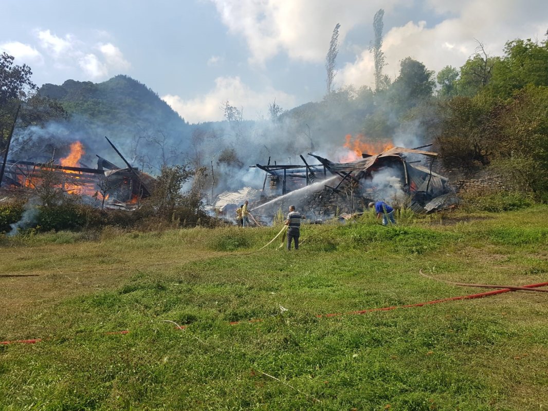 Şavşat'ta köy yangını: 4 hane alevlere teslim oldu