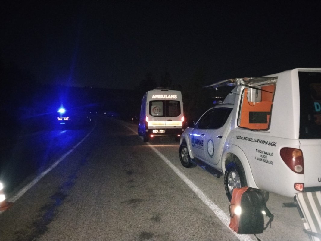 Yabani hayvana çarpan hafif ticari araç şarampole uçtu