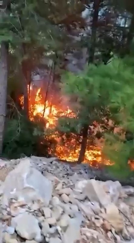 Alanya'da yıldırımın düşmesiyle yangın çıktı: 1 dönüm alan zarar gördü