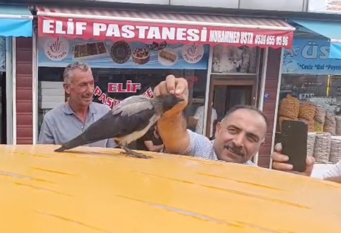 Adilcevaz'da kasap ile karga arasındaki sıra dışı dostluk gülümsetti