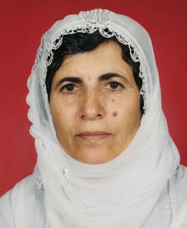 Mardin'de eve giren maskeli kişilerin saldırısına uğrayan yaşlı kadın ağır yaralandı