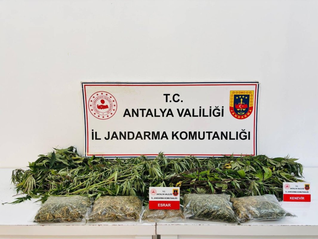 Alanya'da uyuşturucu operasyonunda 24 kök kenevir ve 2 kilo 642 gram esrar ele geçirildi