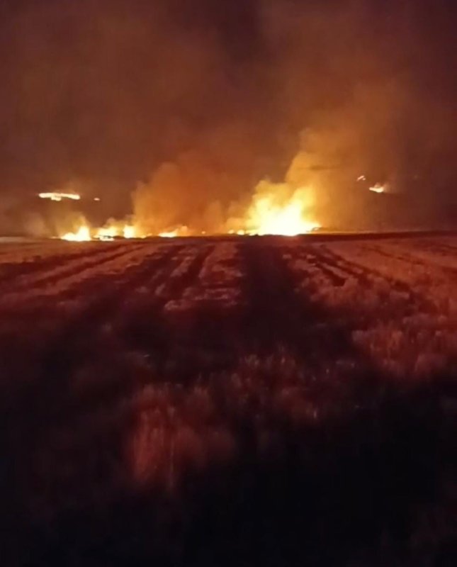 Yozgat’ta bin 500 dönüm arazi yandı