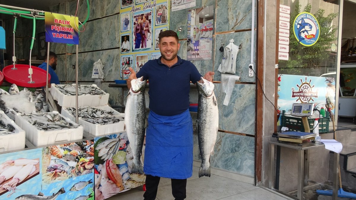 Kilis'te balık sezonu açıldı, tezgahlar çeşitlendi
