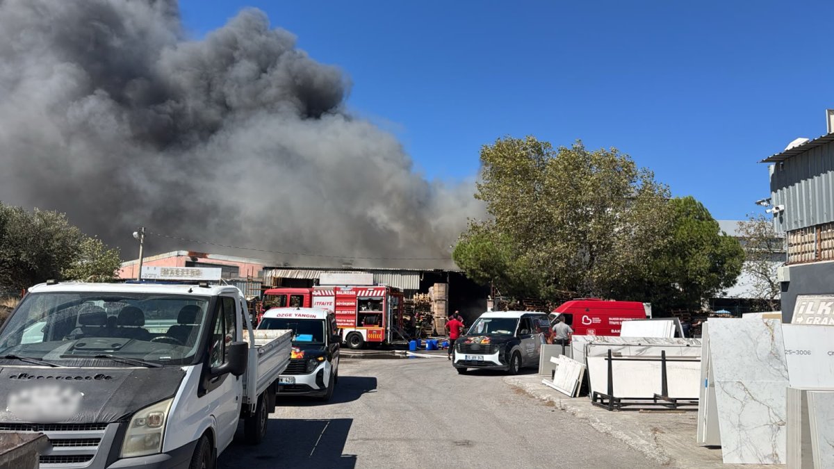 Edremit Zeytinli Sanayi Bölgesi’nde fabrika yangını: Ekipler seferber oldu
