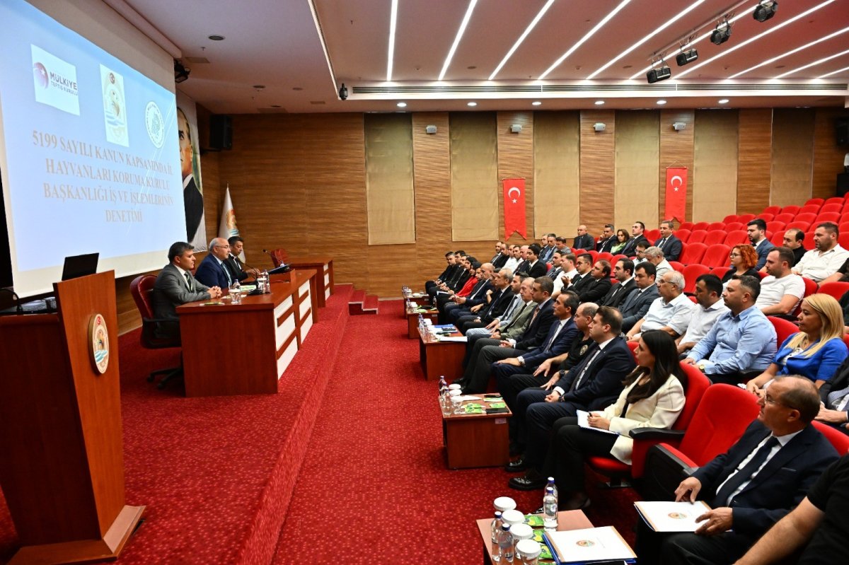 Denizli'de sahipsiz hayvanlar için kritik zirve