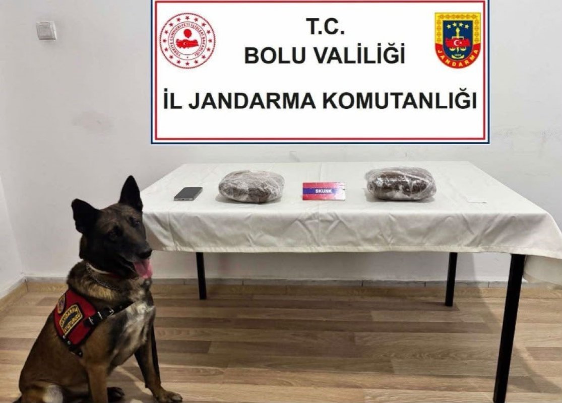 TEM’de yolcu otobüsünde 810 gram esrar ele geçirildi; 1 tutuklama