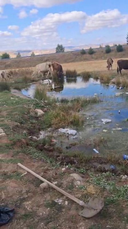 Sivas'ta köylüler "Dünya Temizlik Günü" sebebiyle anlamlı bir etkinliğe imza attı