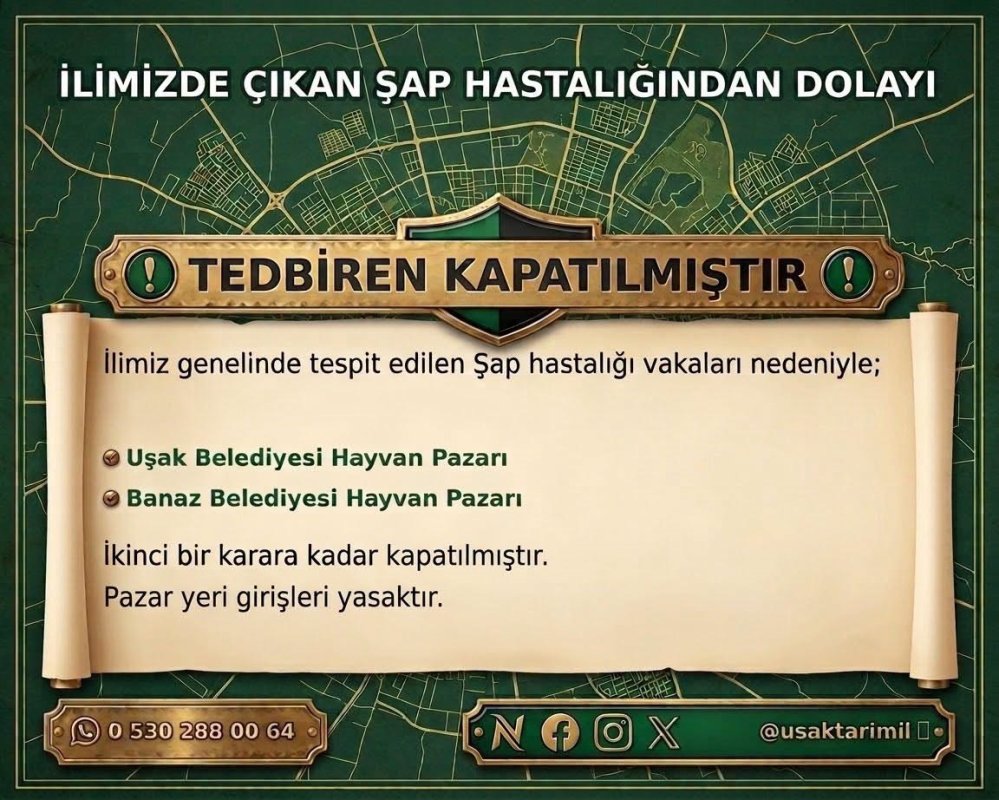 Uşak'ta hayvan pazarları şap hastalığı nedeniyle kapatıldı