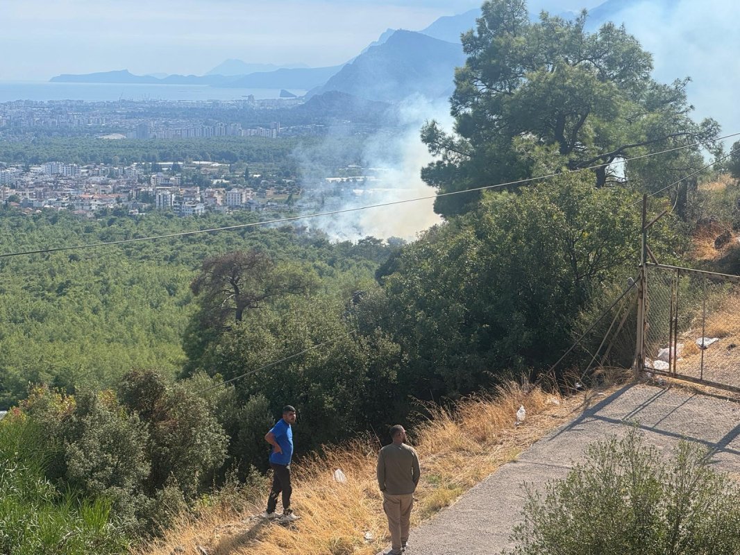 Antalya'da orman yangını