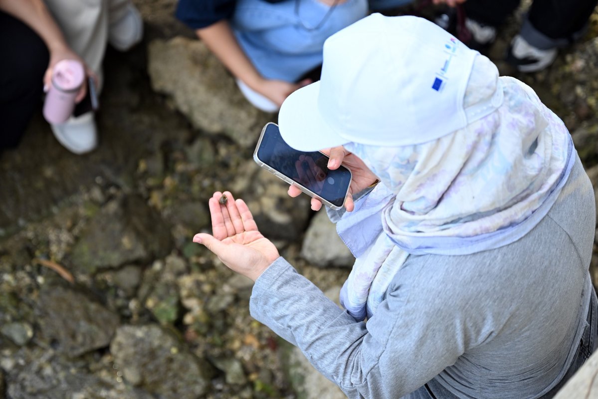 Mersin’de biyolojik çeşitlilik MINKA ile kayıt altına alınıyor