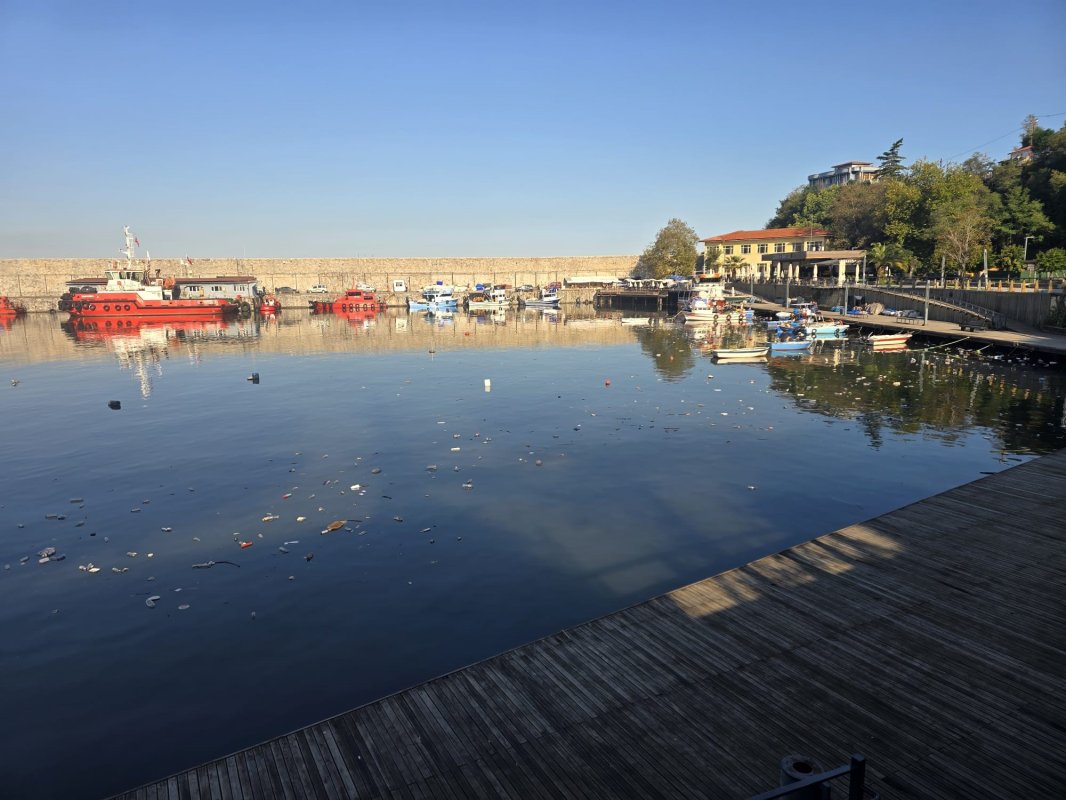 Zonguldak Limanı'nda çevre kirliliği dikkat çekti