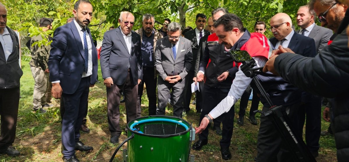 Adilcevaz'da ceviz hasadı başladı