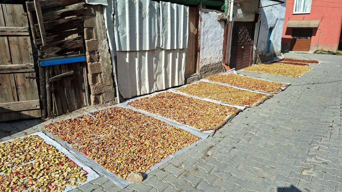 Hisarcık’ta elma kurusu fiyatı düştü, üretici yükseliş bekliyor