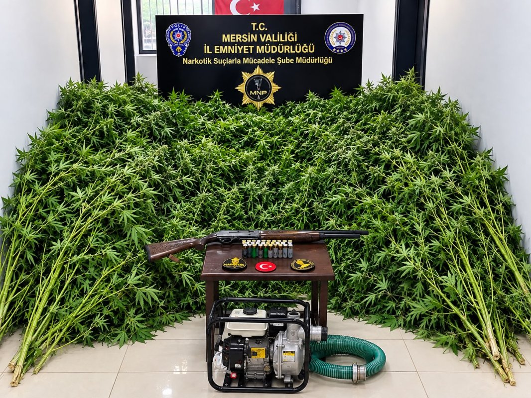 Mersin’de Torbacılara Yönelik Operasyon: 1 Tutuklama