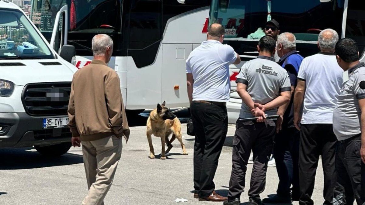 Elazığ'da Köpeğin Saldırdığı Kadın Yaralandı