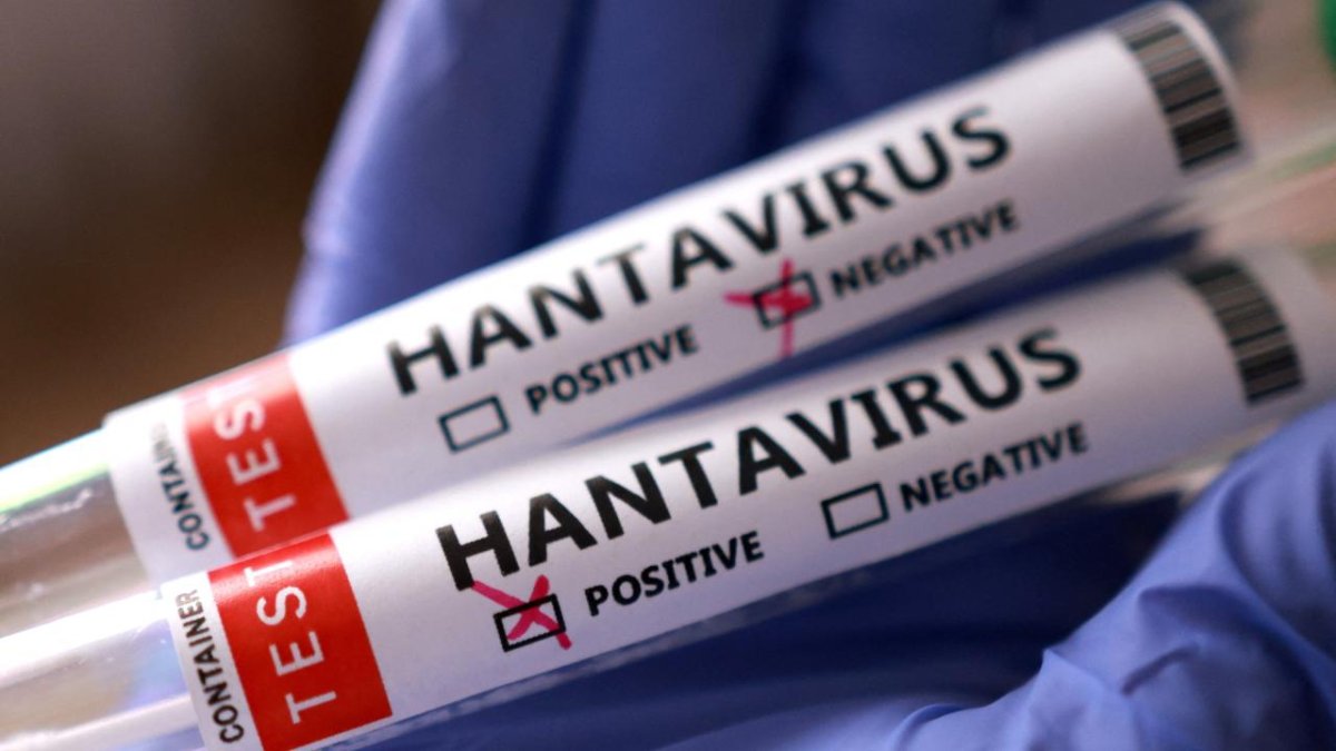 Sağlık Bakanlığından 'Hantavirüs' Açıklaması: Türk Vatandaşların Test Sonuçları Negatif